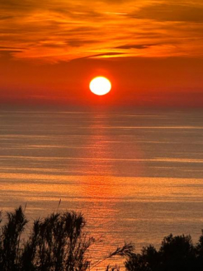 Casa Mimosa Ischia